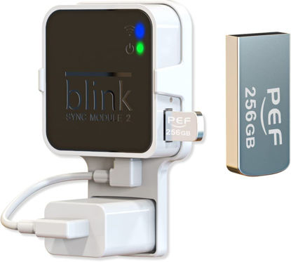 Picture of 256GB Blink USB Flash Drive for Local Video Storage and The Outlet Mount for Blink Sync Module 2(Blink Add-On Sync Module 2 Itself is NOT Included)