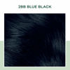 Picture of Clairol Natural Instincts Demi-Permanent Hair Dye, 2BB Blue Black Hair Color, Pack of 3