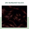 Picture of Clairol Natural Instincts Demi-Permanent Hair Dye, 2RV Burgundy Black Hair Color, Pack of 3