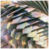 Picture of Framar Ethereal Pop Up Hair Foil, Aluminum Foil Sheets, Hair Foils For Highlighting - 500 Foil Sheets