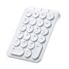 Picture of SANWA Bluetooth Numeric Keypad, Rechargeable Wireless Ten Key Number Pad, 22-Key Portable & Slim Financial Accounting Numpad for Laptop Computer, Compatible with MacBook, Windows, Android, iOS, White