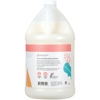 Picture of Ginger Lily Farms Botanicals Moisturizing Shampoo for All Hair Types, 100% Vegan & Cruelty-Free, Apple Pear Scent, 1 Gallon Refill (128 fl oz)