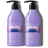 Picture of Herbalosophy Biotin & Collagen Shampoo & Conditioner Set, Hair Growth Thickening Shampoo & Conditioner Set, Repair Dry, Damaged Thinning Hair, Infused with Vitamin B7 & Argan Oil, Free of Sulfate, Parabens and Gluten, 2 x 16.9 Fl Oz
