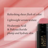 Picture of LAURA GELLER NEW YORK Serum Blush Tint - Practical Pink - Lightweight Liquid Blush - Weightless Watercolor Cheek Color - Hyaluronic Acid - Sheer Finish