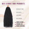 Picture of Dansama 24 Inch Passion Twist Hair Water Wave Braiding Hair for Butterfly Style Crochet Braids Bohemian Hair Extensions (24inch, 1B, Economy Pack)