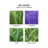 Picture of NEST New York Cedar Leaf & Lavender Liquid Hand Soap, 10 Fl Oz