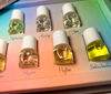 Picture of DefineMe Mini Perfume Gift Set, Pack of 7 Scents, Rollerball Roll-on Natural Perfume for Women