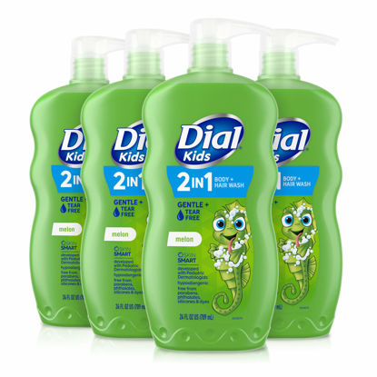 Picture of Dial Kids 2-in-1 Body+Hair Wash, Melon, 24 fl oz (Pack of 4)