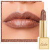 Picture of Oulac Metallic Shine Brown Lipstick for Women, High Impact Lipcolor with Moisturizing Creamy Formula, Vegan & Cruelty-Free, Full-Coverage Lip Color 4.3 g/0.15 oz (Guilty Pleasure (09))