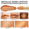 Picture of Oulac Metallic Shine Orange Lipstick, High Impact Lipcolor with Moisturizing Creamy Formula, Long Lasting, Vegan & Cruelty-Free, Full-Coverage Lip Color 4.3 g/0.15 oz, Persimmons(19)