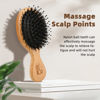 Picture of BLACK EGG Hair Brush Mini Boar Bristle Hairbrush for Thick Curly Thin Long Short Wet or Dry Hair Detangle Massage Add Shine
