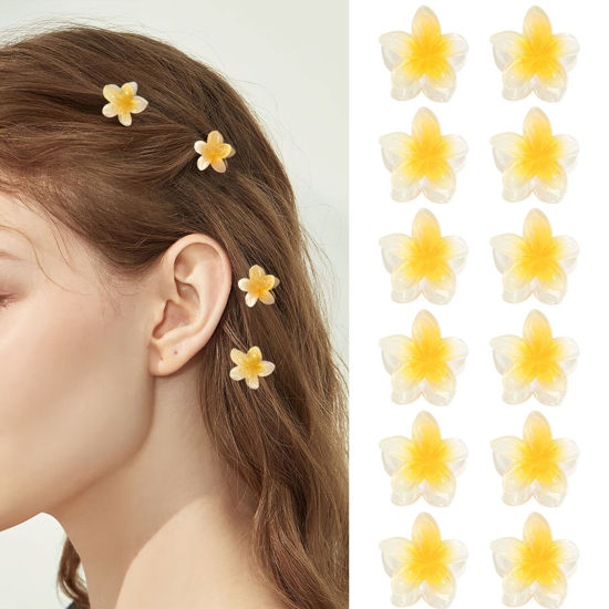 GetUSCart- GQLV Small Flower Hair Claw Clips,12PCS 1.18 Cute Hair Clips  for Women/Girls,Easy to Open/Use Mini Hair Claw Clips for Thick/Thin  Hair,Strong Hold Hawaiian Flower Tiny Hair Clips,Nonslip Acrylic Hair  Claws,Hair Styling