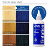 Picture of Kiss Tintation Semi-Permanent Hair Color 5 Ounce (Blue Moonlight (2 Pack))