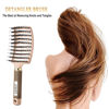 Picture of KTKUDY Detangling Brush Getting Knots Out without Pain - Boar Bristles Hair Brush Make Hair Shiny & Healthier Vented Detangler Brush for Women Men Kids Wet and Dry Hair (Gold)