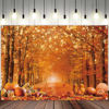 Picture of Swepuck 7x5ft Fall Photography Backdrop Autumn Maple Leaves Pumpkin Friendsgiving Background Thanksgiving Party Supplies Farm Harvest Banner Photo Booth