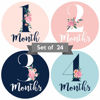 Picture of Baby Monthly Stickers | Floral Baby Milestone Stickers | Newborn Girl Stickers | Month Stickers for Baby Girl | Baby Girl Stickers | Newborn Monthly Milestone Stickers (Set of 24)
