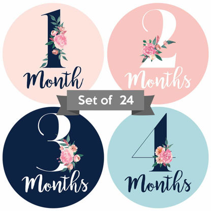Picture of Baby Monthly Stickers | Floral Baby Milestone Stickers | Newborn Girl Stickers | Month Stickers for Baby Girl | Baby Girl Stickers | Newborn Monthly Milestone Stickers (Set of 24)