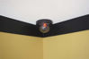 Picture of Dome Dummy Camera with Motion Activated Light