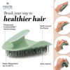 Picture of Manta Hair Hairbrush - Fully Flexible Hair Brush - Gentle Brush That Helps Prevent Hair Breakage - Scalp Care Massager and Detangler (Serene Green)