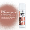 Picture of L’Oréal Paris Colorista 1-Day Washable Temporary Hair Color Spray, Rose Gold, 2 Ounces