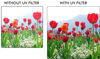 Picture of Xit XT58UV 58 Camera Lens Sky and UV Filters