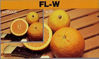 Picture of Hoya 49mm Multi-Coated FL-W Fluorescent Correction Filter