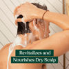 Picture of The Body Shop Ginger Scalp Care Shampoo - For Dry, Flaky Scalps - With Vegan Silk Protein - 400ml