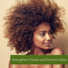 Picture of GIOVANNI Tea Tree Triple Treat Invigorating Shampoo - Cooling Peppermint, Eucalyptus & Rosemary, Helps Strengthen & Rejuvenate Hair & Scalp, Salon Quality, Paraben Free, Tea Tree Shampoo - 24 oz