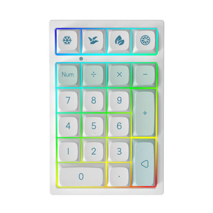Picture of YUNZII YZ21 Hot Swappable Mechanical Numeric Keypad, RGB 21 Keys Wired Mini Numpad Gaming Keypad (Gatron Blue Switch, Mint)