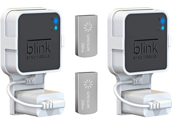 blink sync module 2 via a usb flash drive sold separately