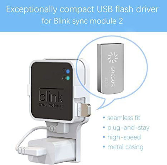 GetUSCart 256GB Blink USB Flash Drive for Local Video Storage with The