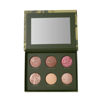 Picture of LAURA GELLER NEW YORK Cheek to Chic Tropical Glow Face Palette 2 Blushes, 2 Highlighters & 2 Bronzers