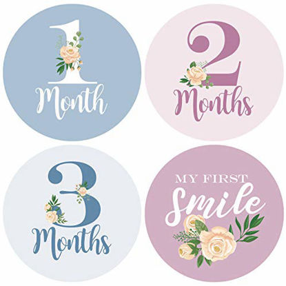Baby Monthly Stickers Floral Baby Milestone Stickers Newborn Girl