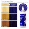 Picture of Kiss Tintation Semi-Permanent Hair Color Treatment 148 mL (5 US fl.oz) (African Violet)