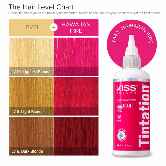 GetUSCart- Kiss Tintation Semi-Permanent Hair Color Treatment 148 mL (5 ...