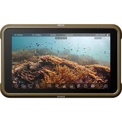 Picture of Atomos Ninja 5.2" HDR Monitor-Recorder