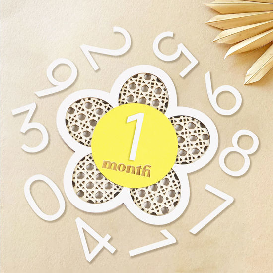 PTYQU Baby Monthly Milestone Cards - 6 Reversible Wooden Discs With Drawstring Bag For Newborn Photo Props