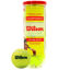 Picture of WILSON Championship Tennis Balls - Extra Duty, Single Can (3 Balls)
