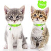 Picture of Taglory Kitten Collar Breakaway with Bell, 2 Pack Girl Boy Pet Kitten Collar Adjustable 6-8 Inch for 2-6 Months Cat, Green