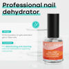 Picture of modelones Nail Dehydrator, 15 ml Acid Free Nail Prep Dehydrator for Acrylic Nails and Gel Nail Polish, Hema-Free Nail Primer Bonder