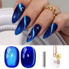 Picture of Double Rhythm 0.5 OZ Cat Eye Gel Polish with Magnet 15ML Holographic Glitter Shimmer Translucent Jelly Color Magnetic Nail Polish Salon DIY at Home (MC1078)