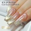 Picture of Double Rhythm 0.5 OZ Cat Eye Gel Polish with Magnet 15ML Holographic Glitter Shimmer Translucent Jelly Color Magnetic Nail Polish Salon DIY at Home (MC1060)
