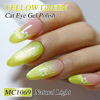 Picture of Double Rhythm 0.5 OZ Cat Eye Gel Polish with Magnet 15ML Holographic Glitter Shimmer Translucent Jelly Color Magnetic Nail Polish Salon DIY at Home (MC1069)