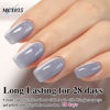 Picture of Double Rhythm 0.5 OZ Cat Eye Gel Polish with Magnet 15ML Holographic Glitter Shimmer Translucent Jelly Color Magnetic Nail Polish Salon DIY at Home (MC1035)