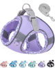 Picture of Petank Dog Harness for Small Medium Dogs No Pull, Puppy Harness and Leash Set, Easy Walk Dog Harness for Walking, Running, Training, Small Dog Harness, Medium Dog Harness (Purple, XXS)
