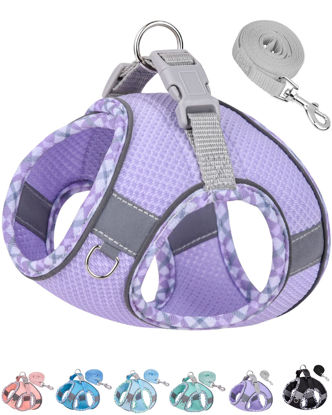 Picture of Petank Dog Harness for Small Medium Dogs No Pull, Puppy Harness and Leash Set, Easy Walk Dog Harness for Walking, Running, Training, Small Dog Harness, Medium Dog Harness (Purple, XXS)
