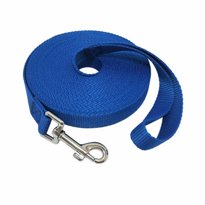 Picture of Nylon Training Dog Leash for Small Medium Large Dogs, 15ft 20ft 30ft 50ft Long Leash Dog/Puppy Lead for Obedience Recall Training, Camping (30ft, Blue)