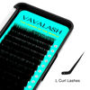 Picture of Eyelash Extensions 0.03/0.05/0.07/0.15 B L J Curl Lash Extensions Supplies Individual Lashes Premium Silk Volume & Classic Lash Soft Matte Dark Professional Eyelashes Extension (0.03-L-8-14mm)