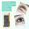 Picture of NAGARAKU WW Eyelash Extensions Supplies Double W lash Premade Fans 6D Russian Volume Faux Mink Matte Black 12 rows Cluster Pre Fanned Wispies Crisscross Clover False Lashes(0.07mm D curl 8-15mm Mix)