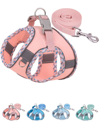 Picture of Petank Dog Harness for Small Medium Dogs No Pull, Puppy Harness and Leash Set, Easy Walk Dog Harness for Walking, Running, Training, Small Dog Harness, Medium Dog Harness (Pink, S)